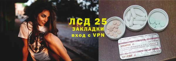 ПСИЛОЦИБИНОВЫЕ ГРИБЫ Аркадак