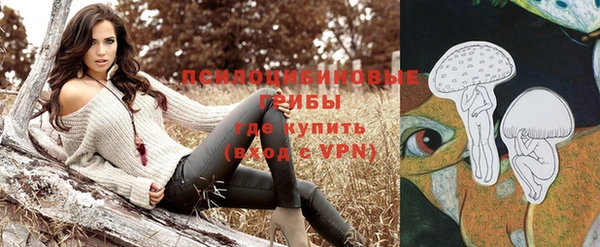гидра Армянск