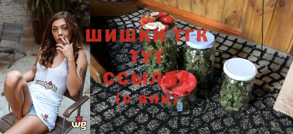 дживик Арсеньев