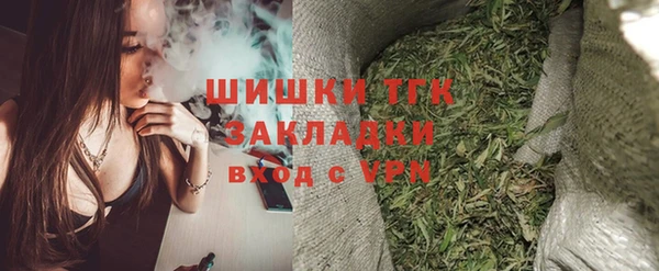 дживик Арсеньев